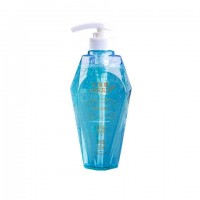 CARICH Aroma Therapy Shampoo with Iris Extract - Intensive Repair (卡丽施香氛洗发水) - PV3