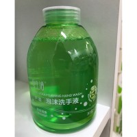 iLiFE Aloe Vera Foaming Hand Wash 爱生活500ml芦荟泡沫洗手液 - PV5.2