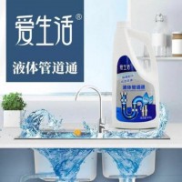 iLiFE Liquid Drain Cleaner (爱生活液体管道通) - PV5.1