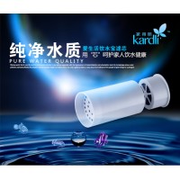 Ilife Bath Water Filter (爱生活饮水宝滤芯)