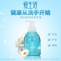 iLiFE Chamomilla Foaming Hand Wash (爱生活500ml洋甘菊泡沫洗手液) - PV5.2